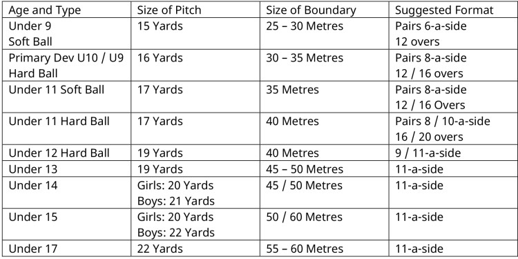 cricket pitch dimensions