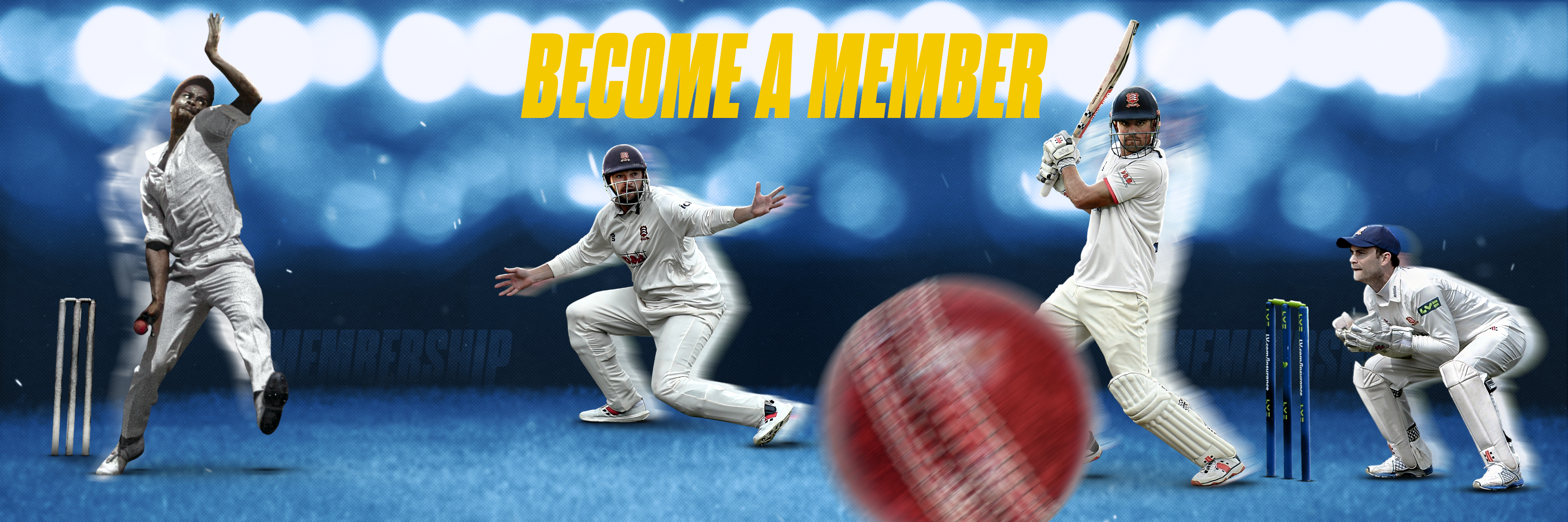 Become a Member banner